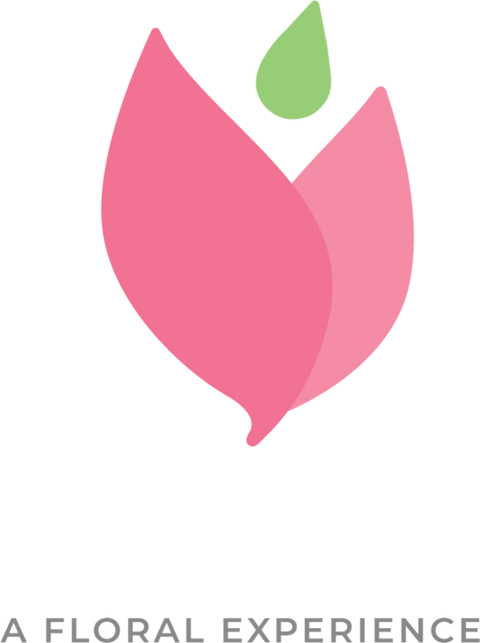 French Tulip — A Floral Experience